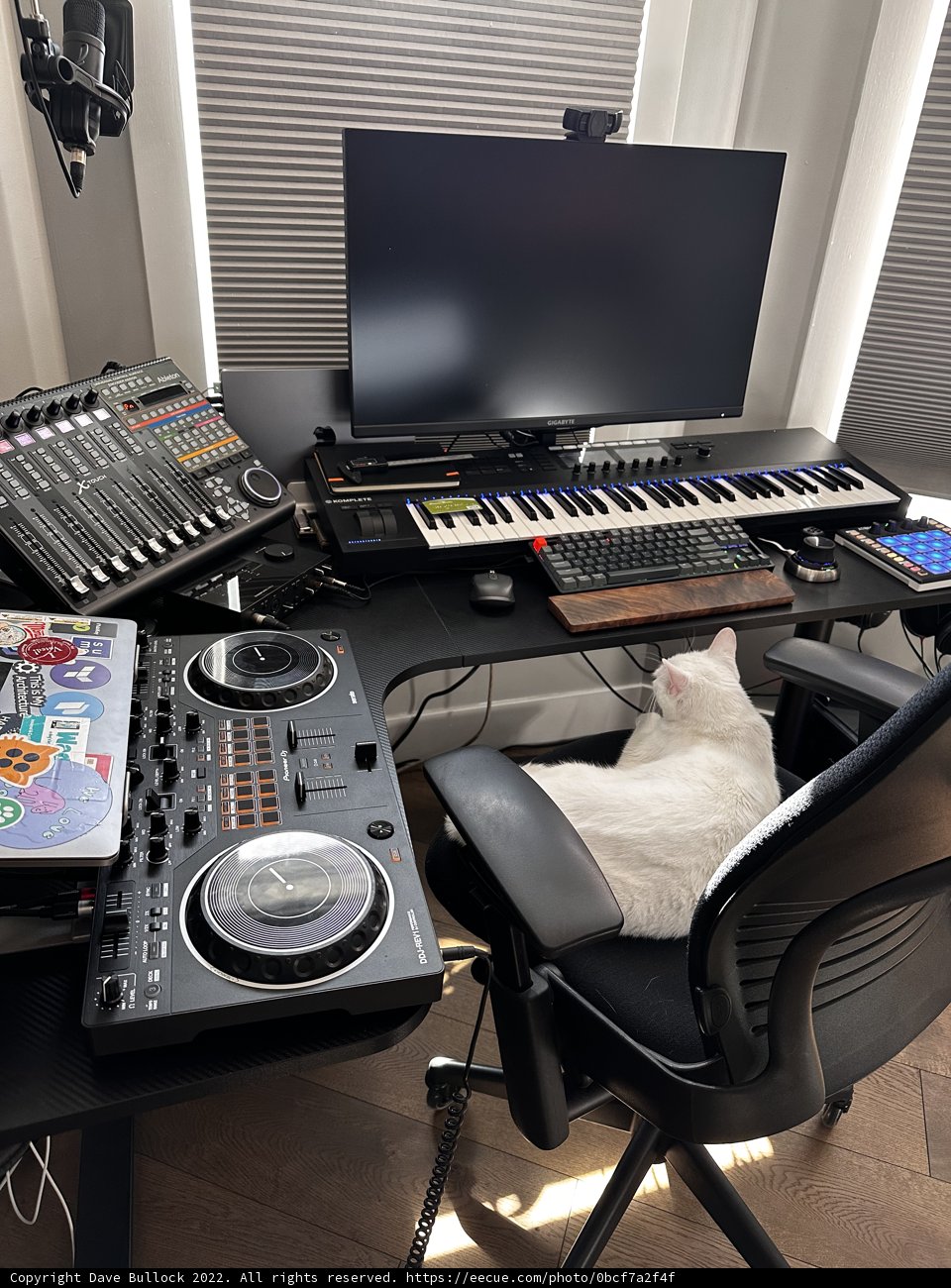 White Cat on Desk with Computer and Mixer