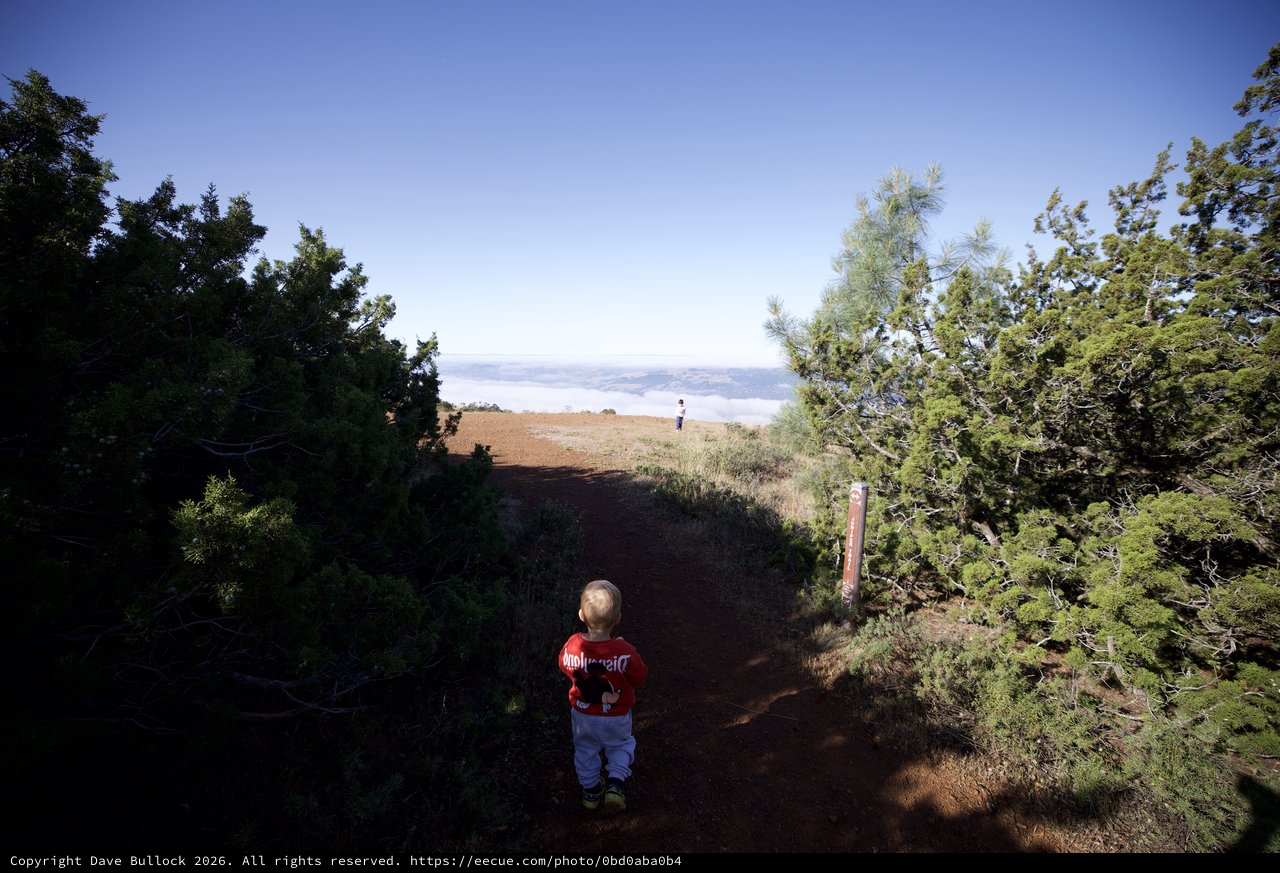 Young Explorer Gazes Above the Clouds at Summit