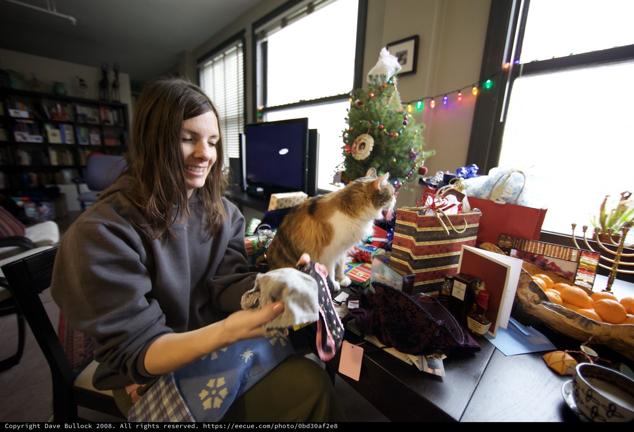 Joyful Christmas Morning with Cat and Gifts