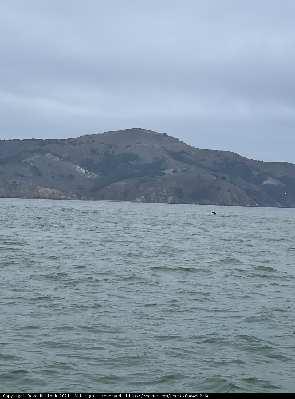 Majestic scenery at San Francisco's coast