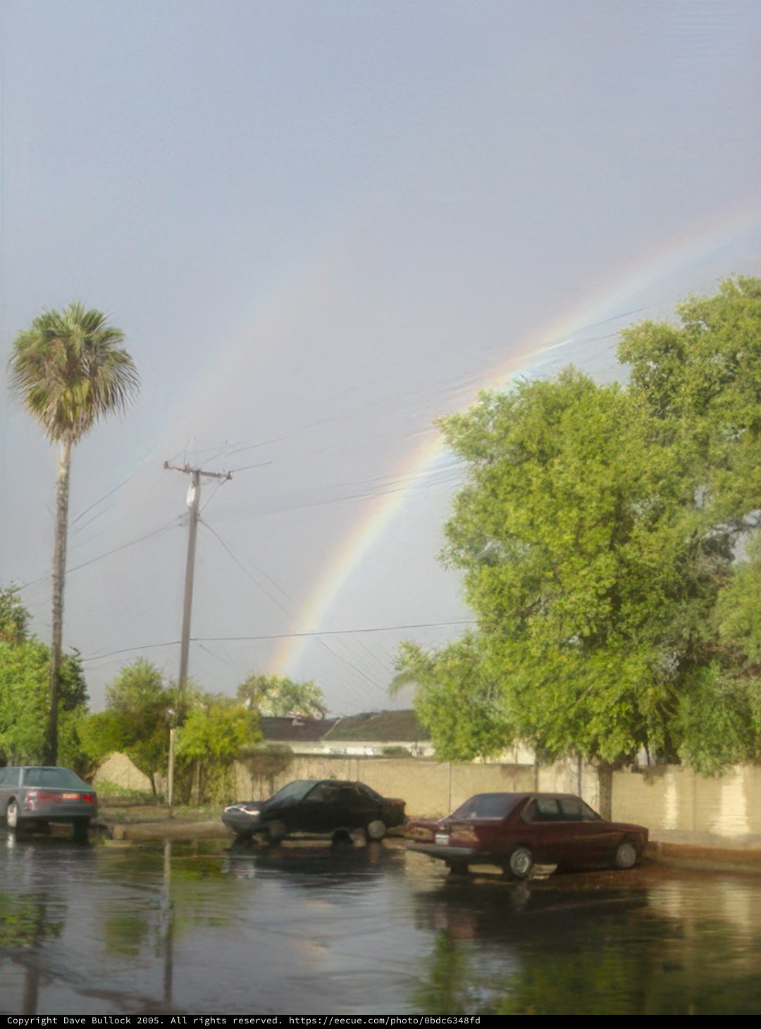 The Rainbow Over a Suburban Oasis