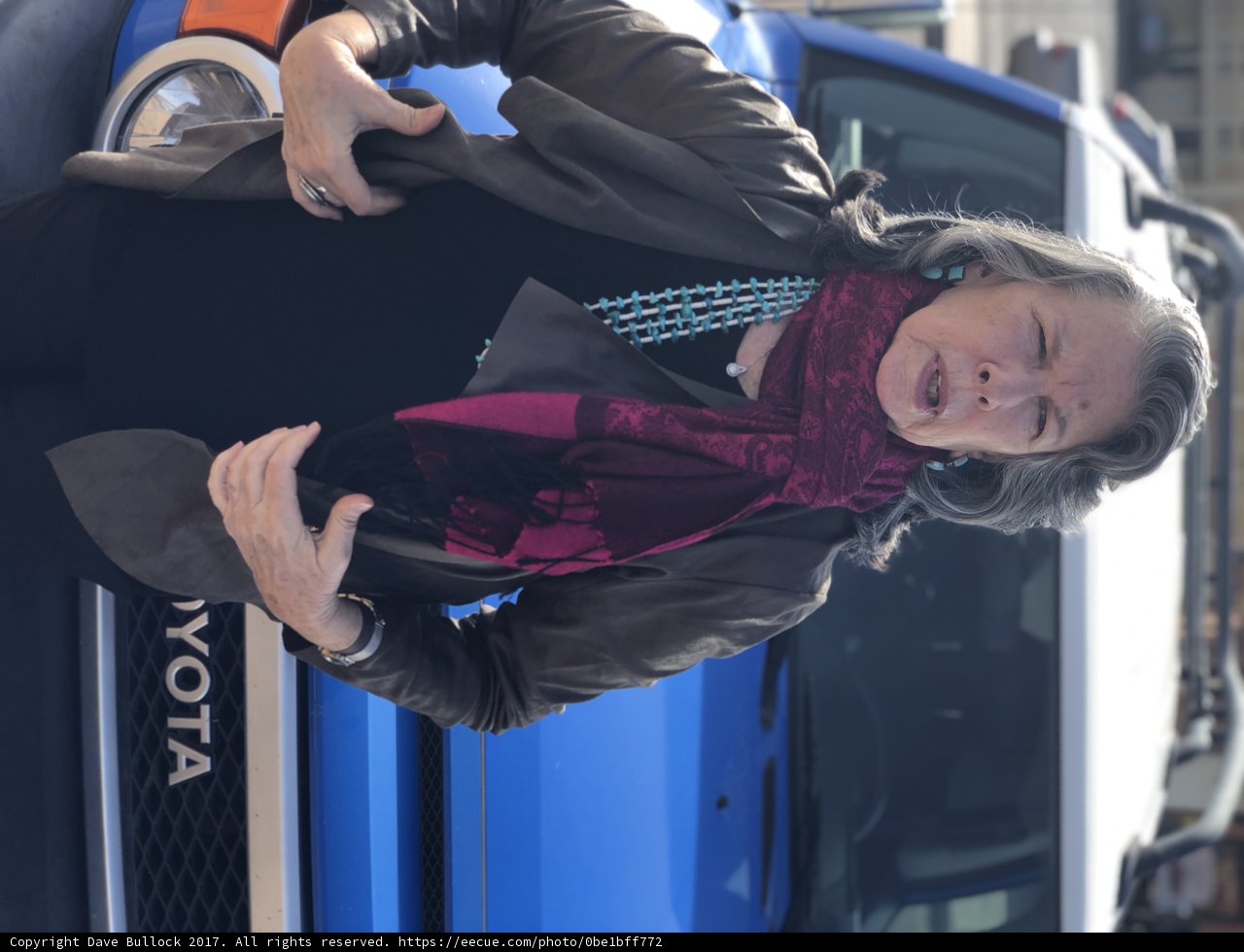 The Lady with the Blue Toyota
