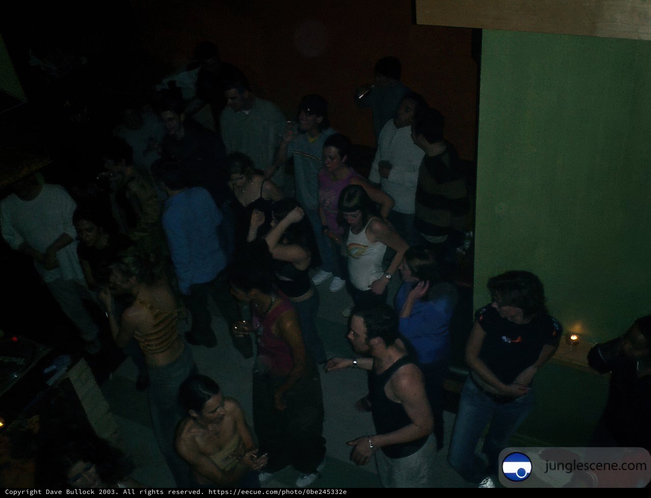 Nightclub Crowd