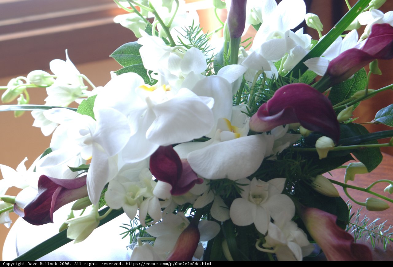 Perfect White and Purple Flower Bouquet