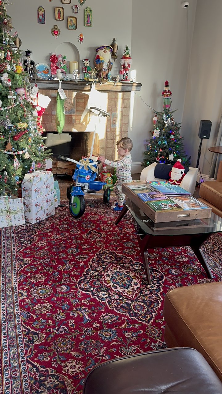 Basking in the Christmas Morning Glow