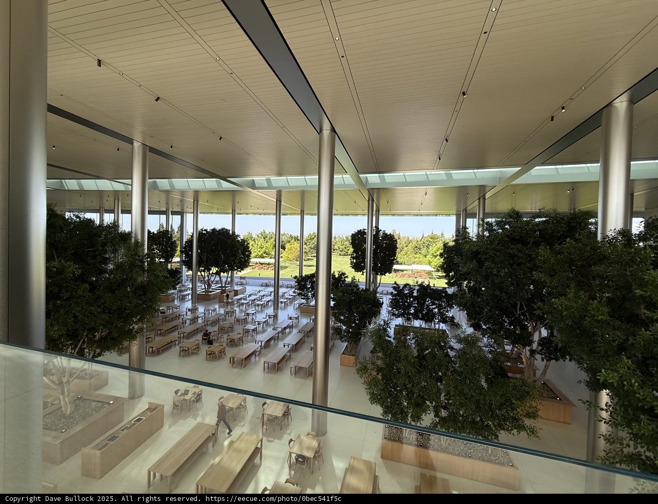 Modern Serenity at Apple Park