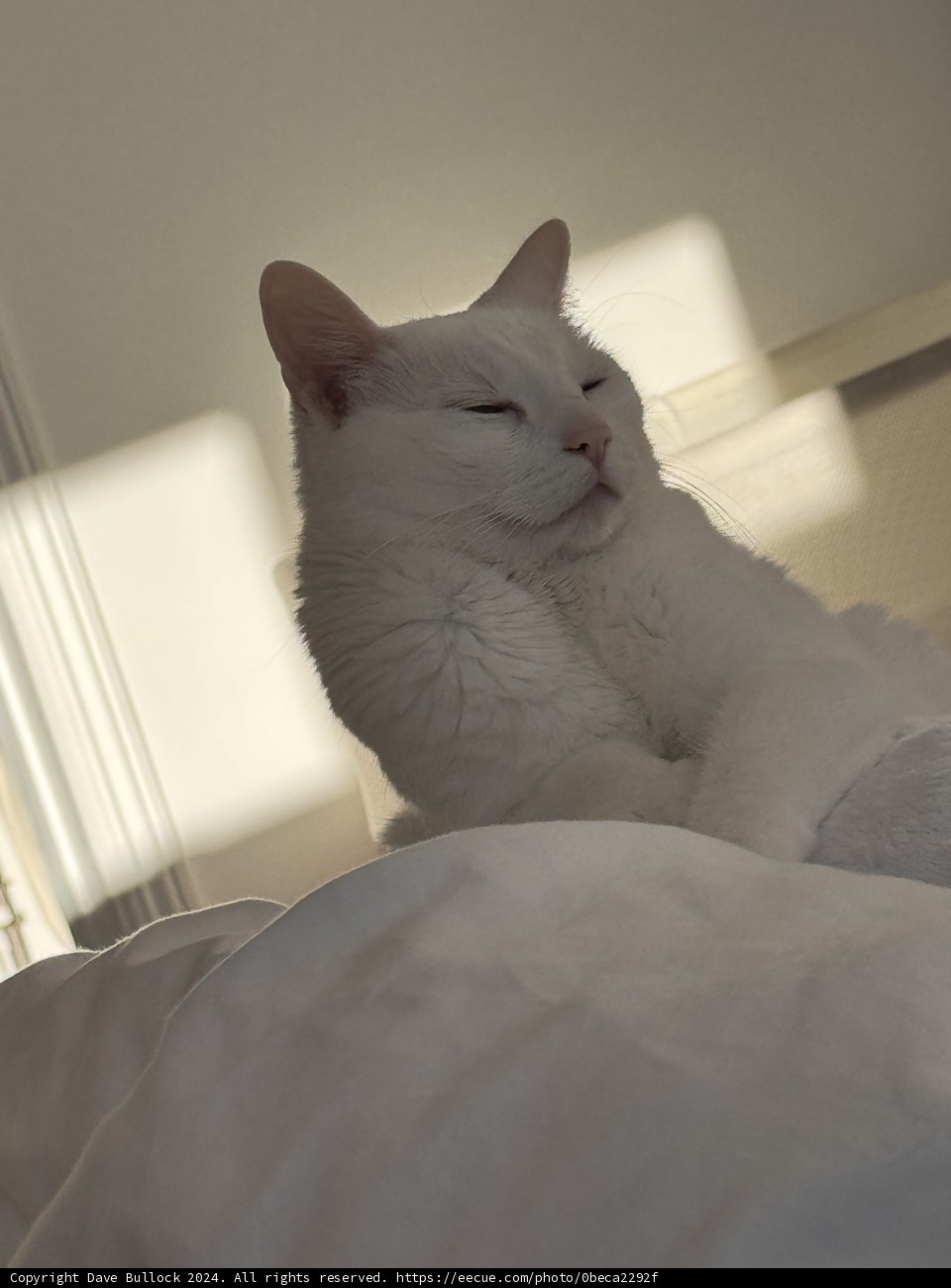 Morning Serenity