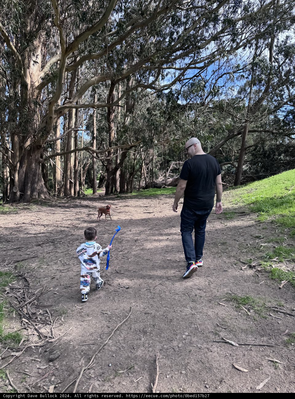 Weekend Stroll in the Woods