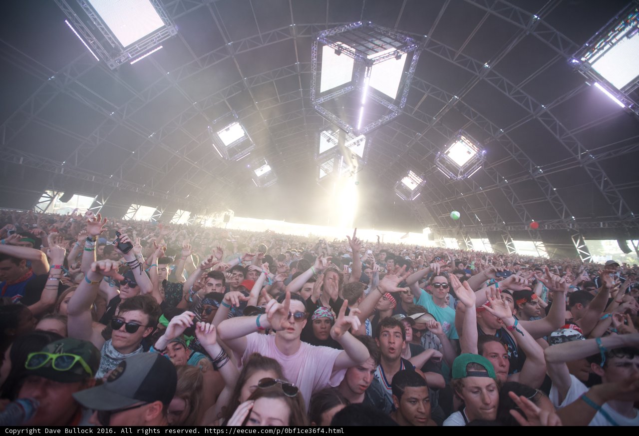 Coachella Vibes: A Thrilling Night of Music and Fun with Pokras Lampas