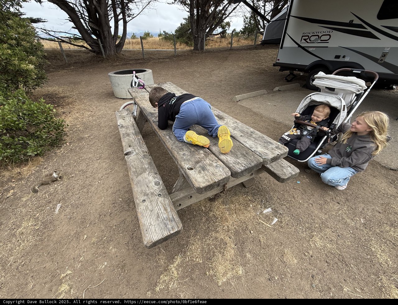 Morning Playtime in Cambria