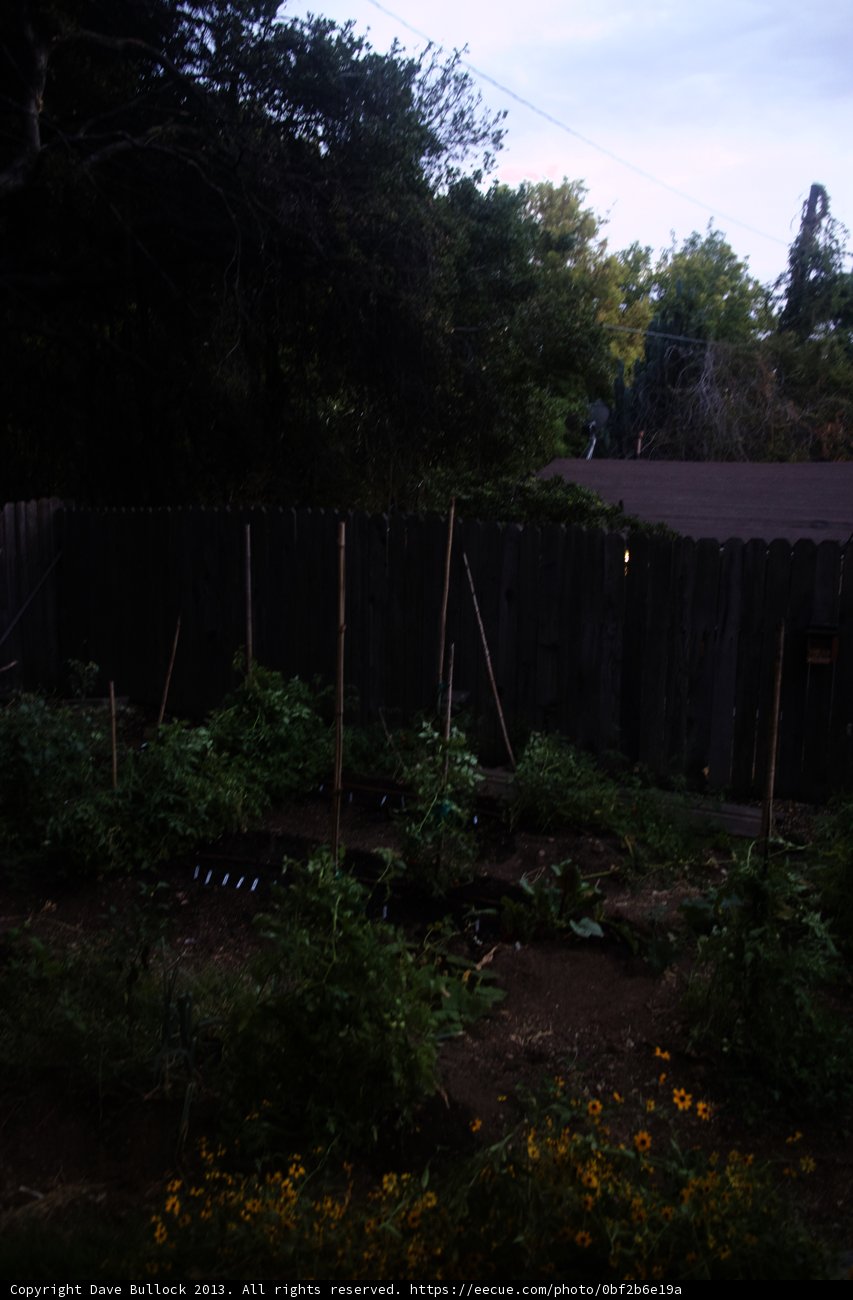 Natural Enclosure