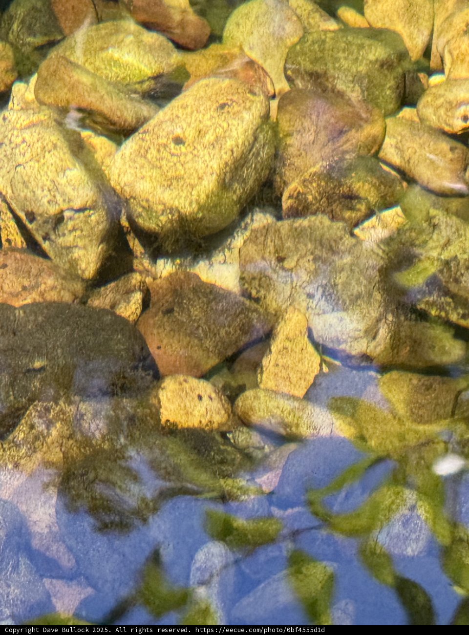 Tranquil Waterscape at Avila Beach