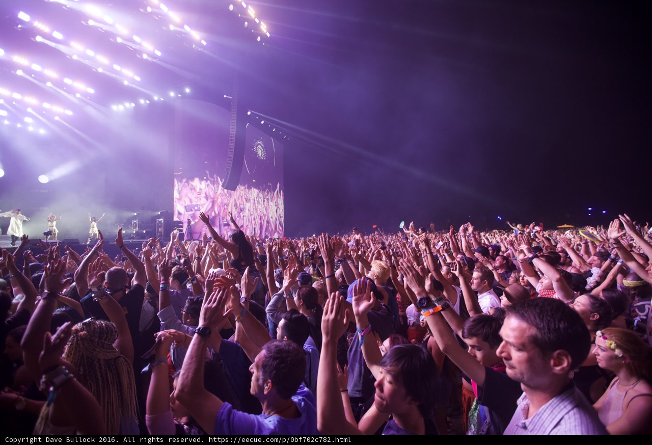 Hands Up!