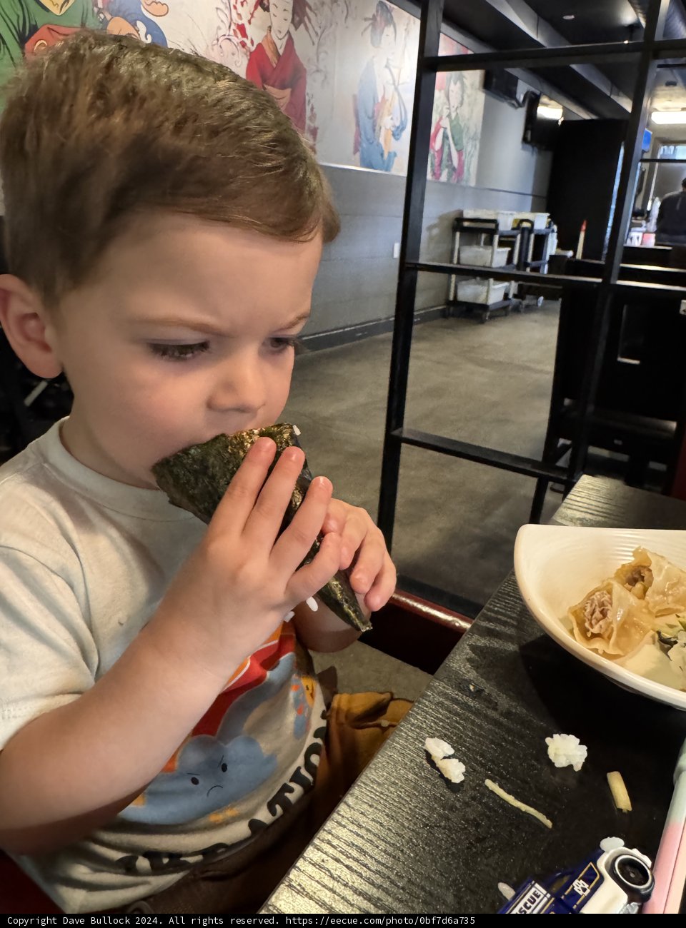 Sushi Adventures with Wesley