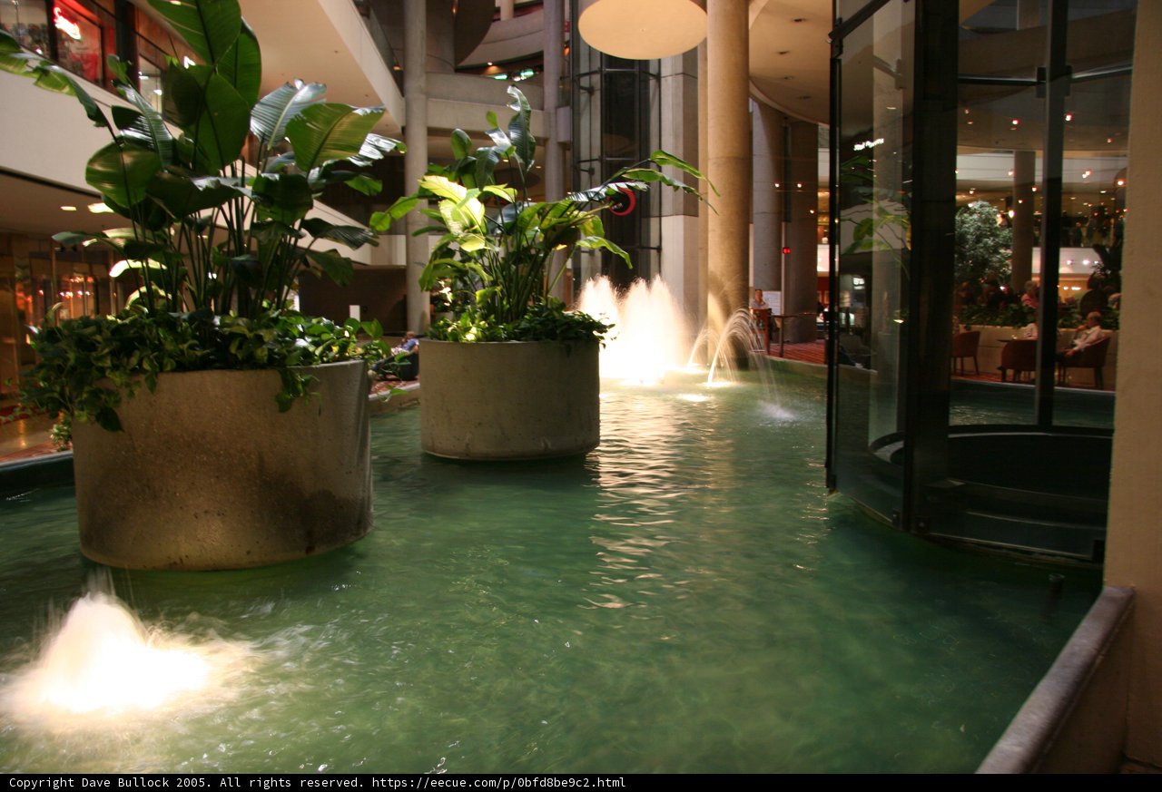Serene Oasis