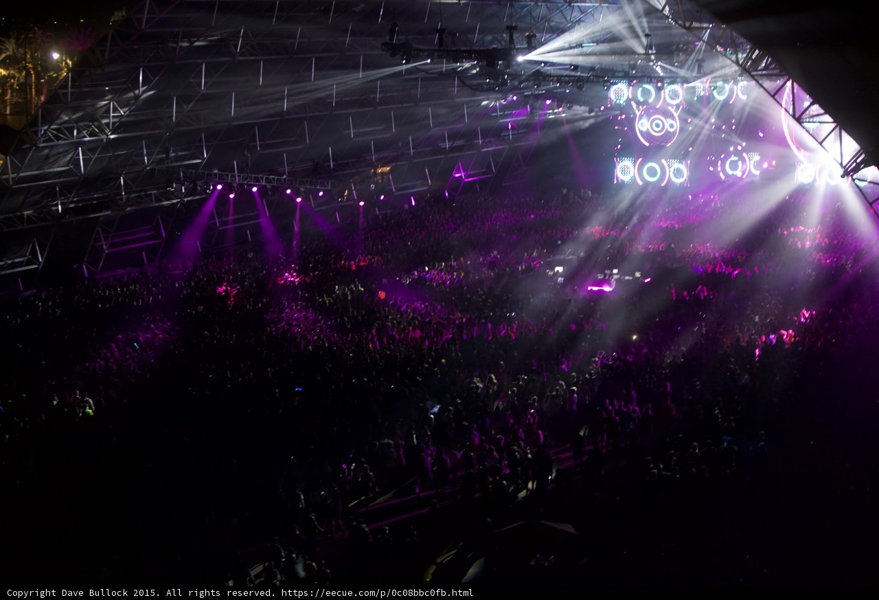 Purple Haze at Coachella