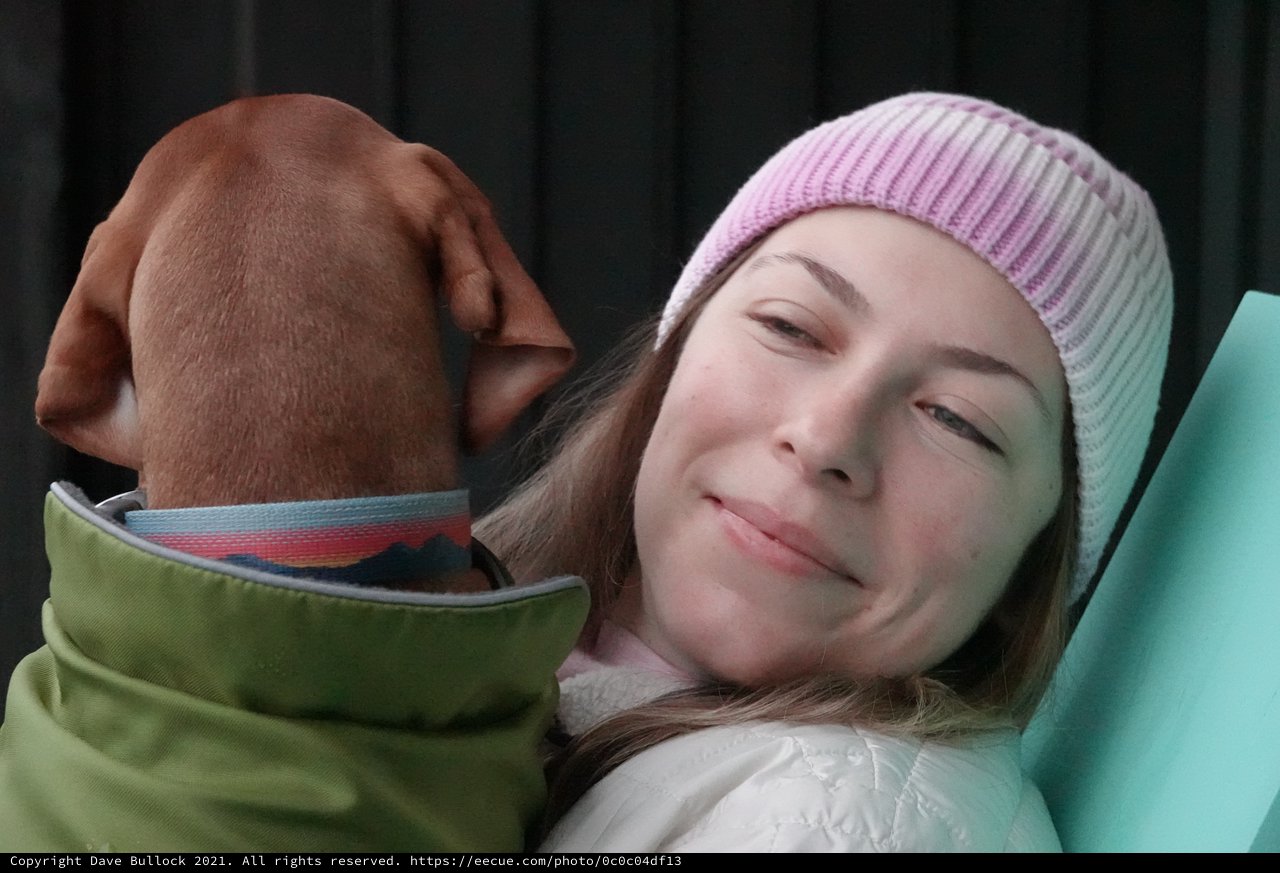 Relaxing Moment with Dog on Sunny Day