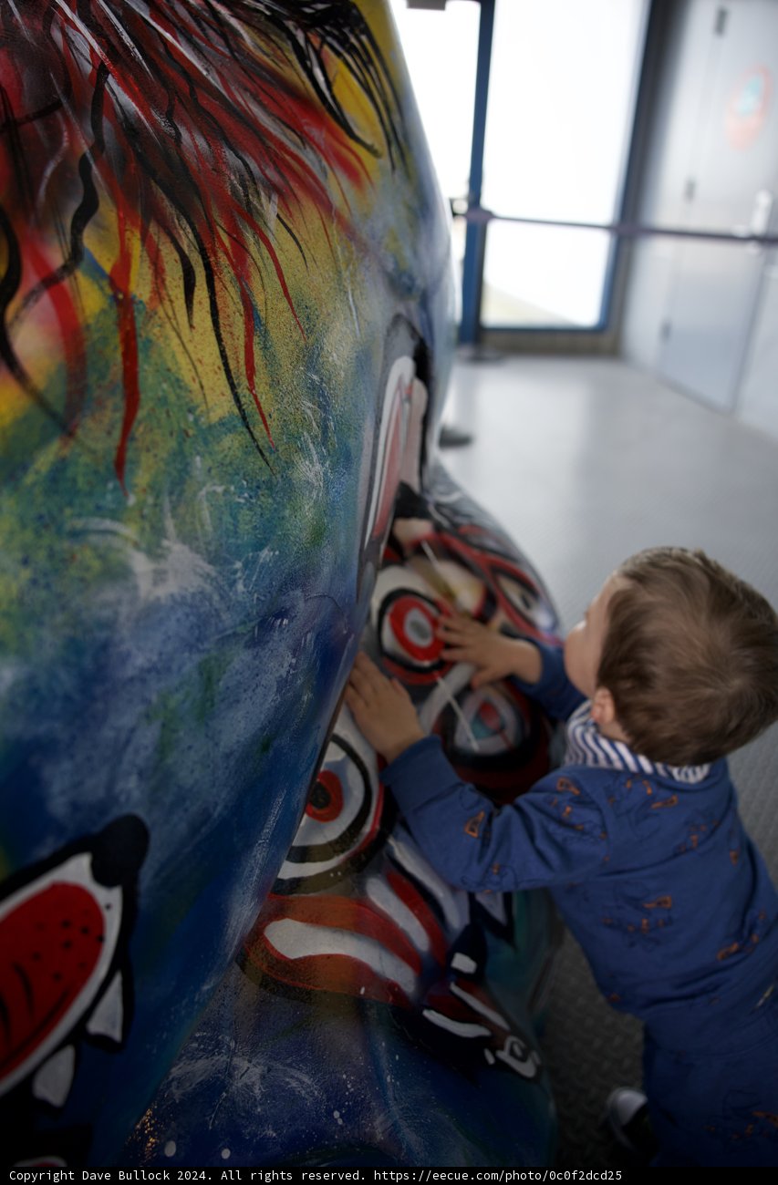 A Splash of Youthful Creativity