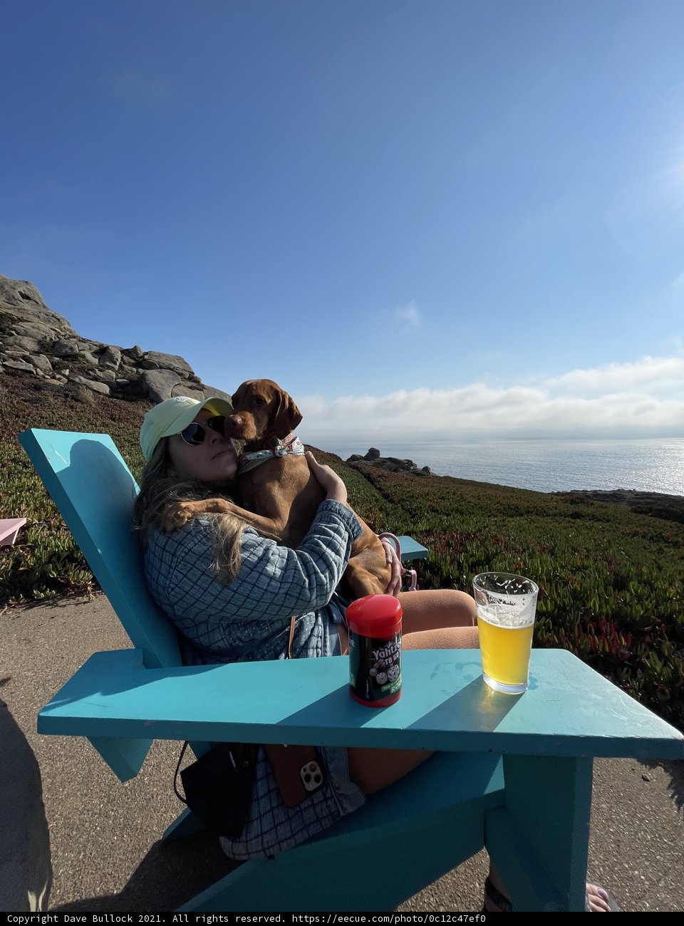 Summer Sips with Man's Best Friend