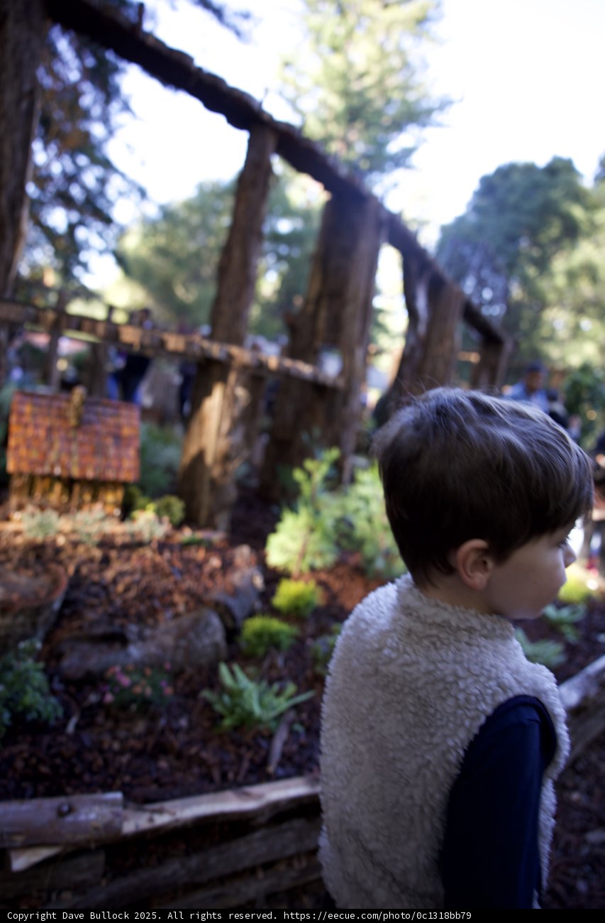 Exploring the Woodland Wonders