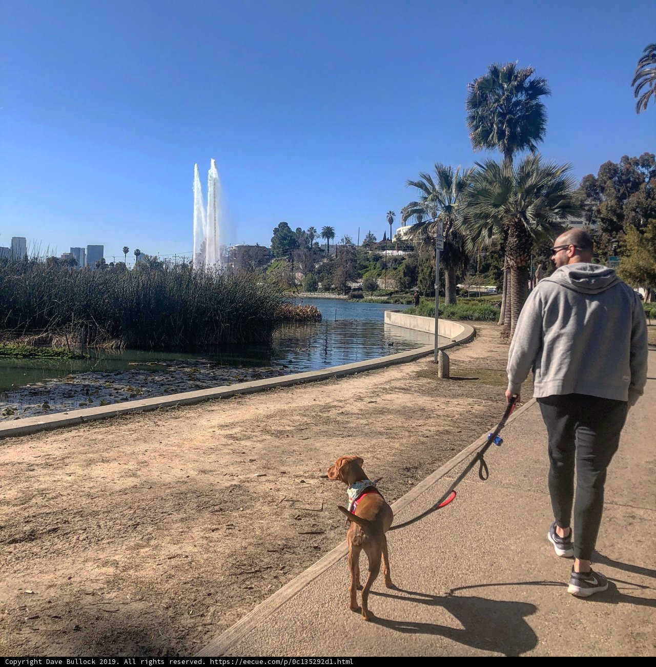 A Walk With My Pup by the Fountain