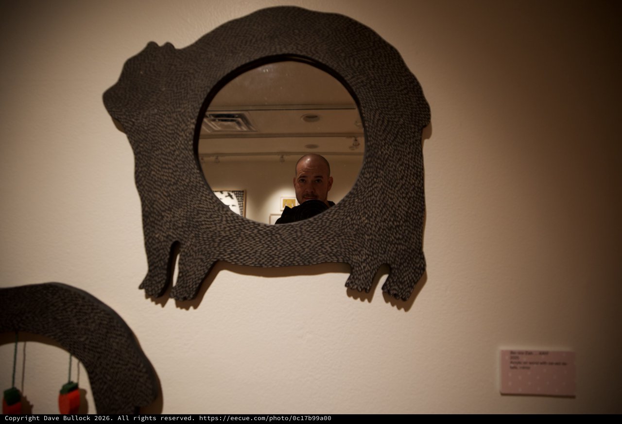 Self-Portrait in Bear-Shaped Mirror at Art Gallery