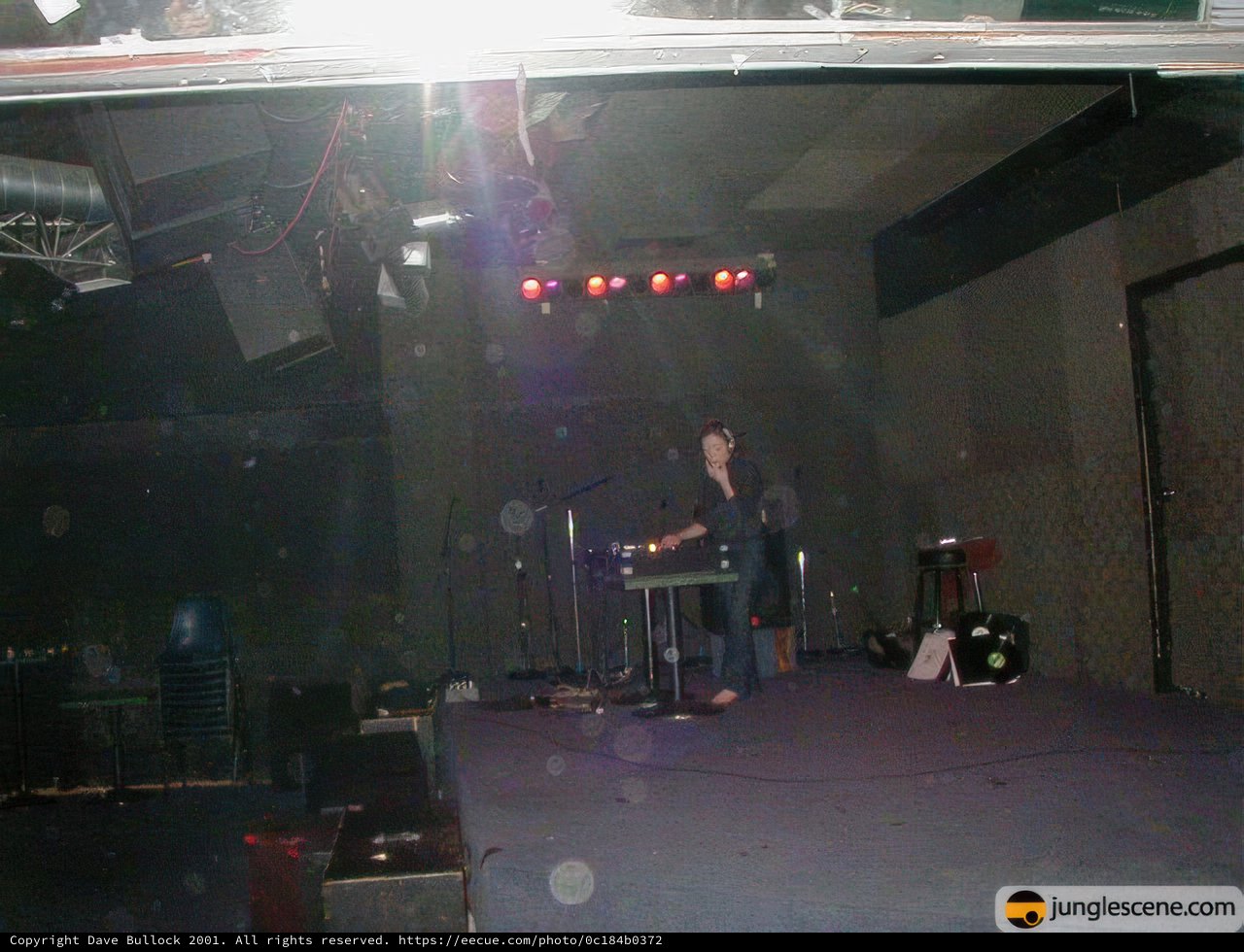 Musician Performing Live on Stage