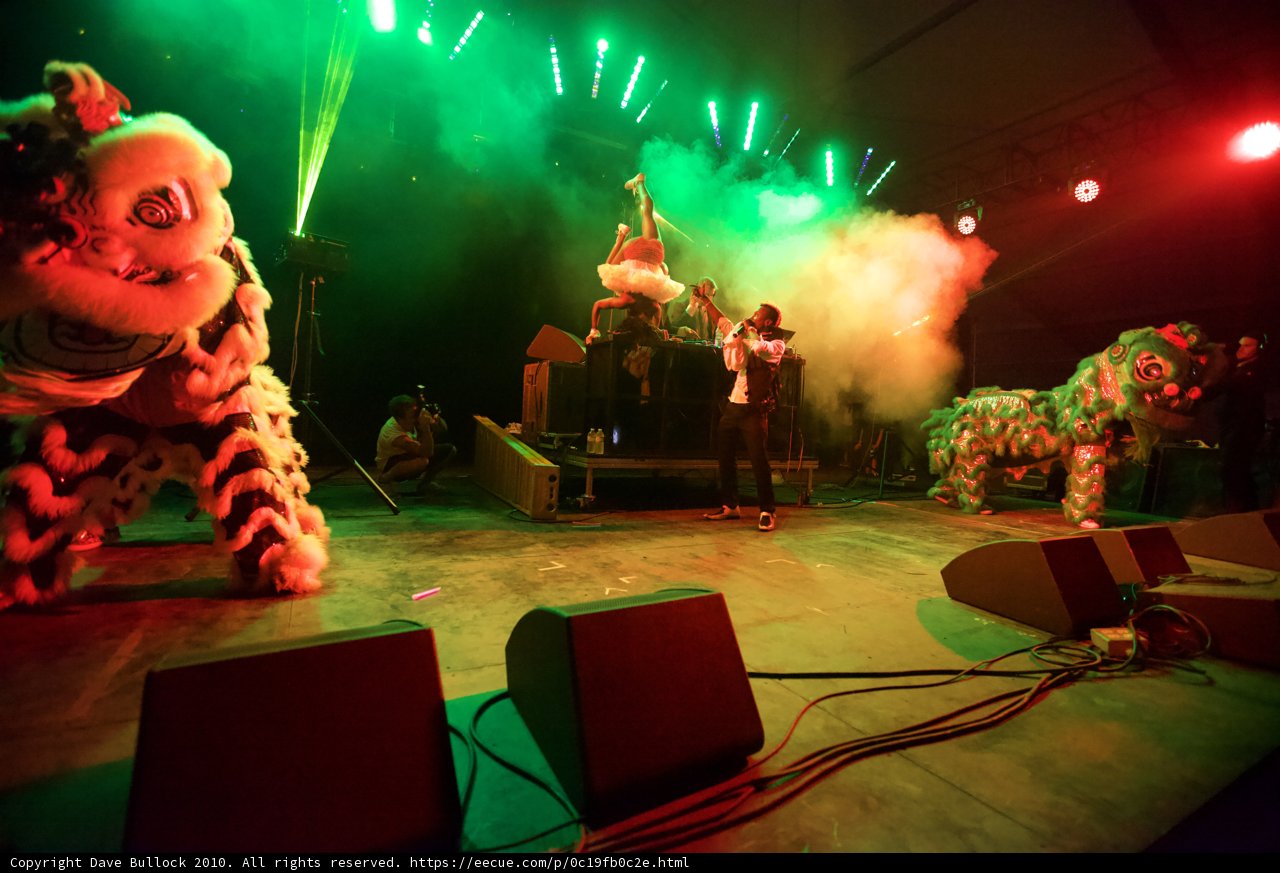 Jungle Rockstar
