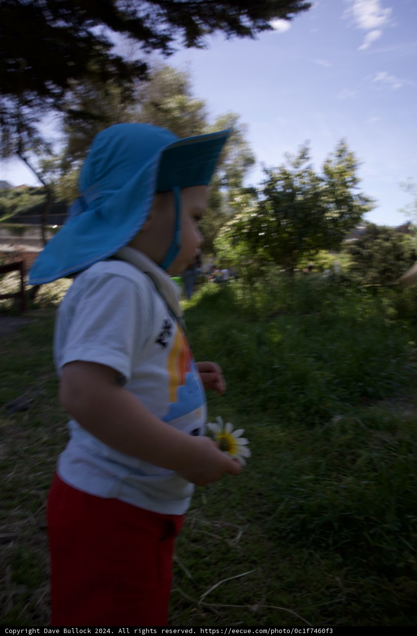 Joy of Spring: Childhood Innocence at Alemany Farm