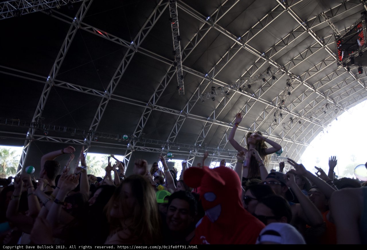 Hands Up in the Crowd