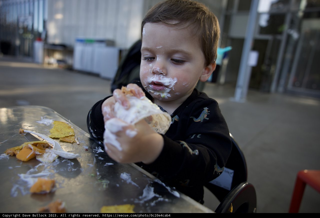 Wesley's Sweet Indulgence
