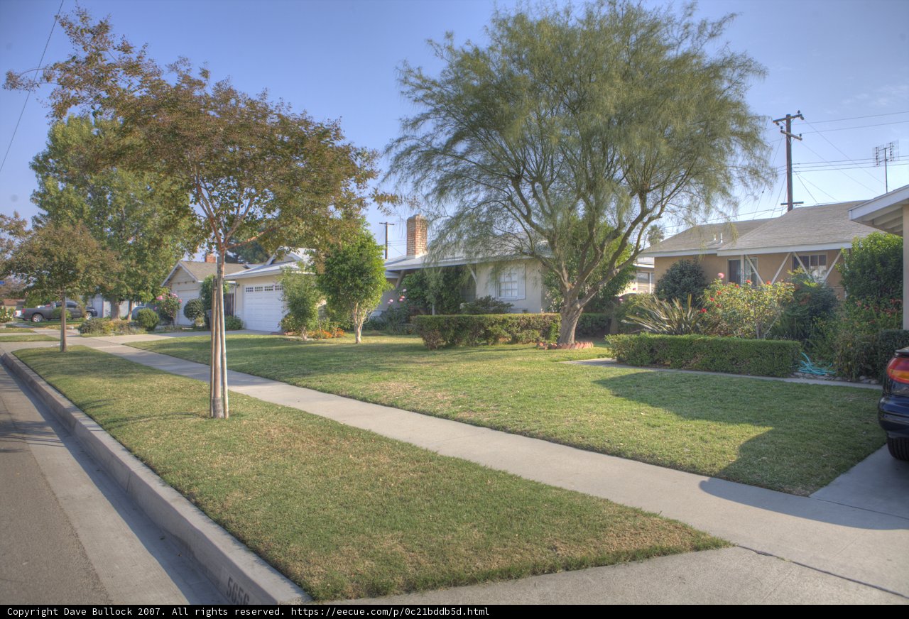 Suburban Bliss