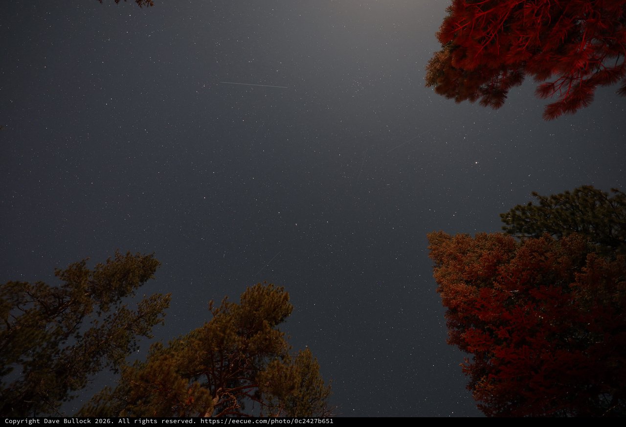 Meteor Streak Over Lassen's Autumn Forest Canopy