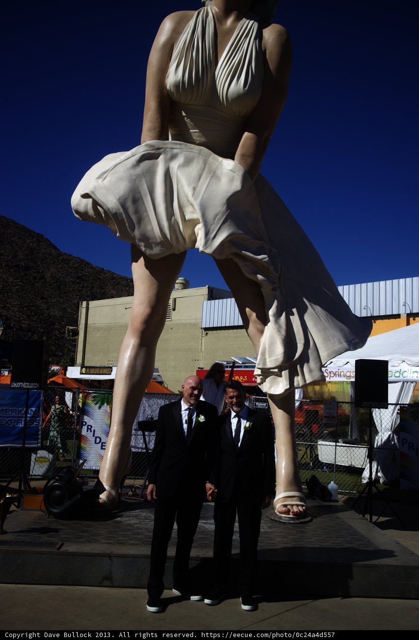 Elegant Statue in Formal Wear