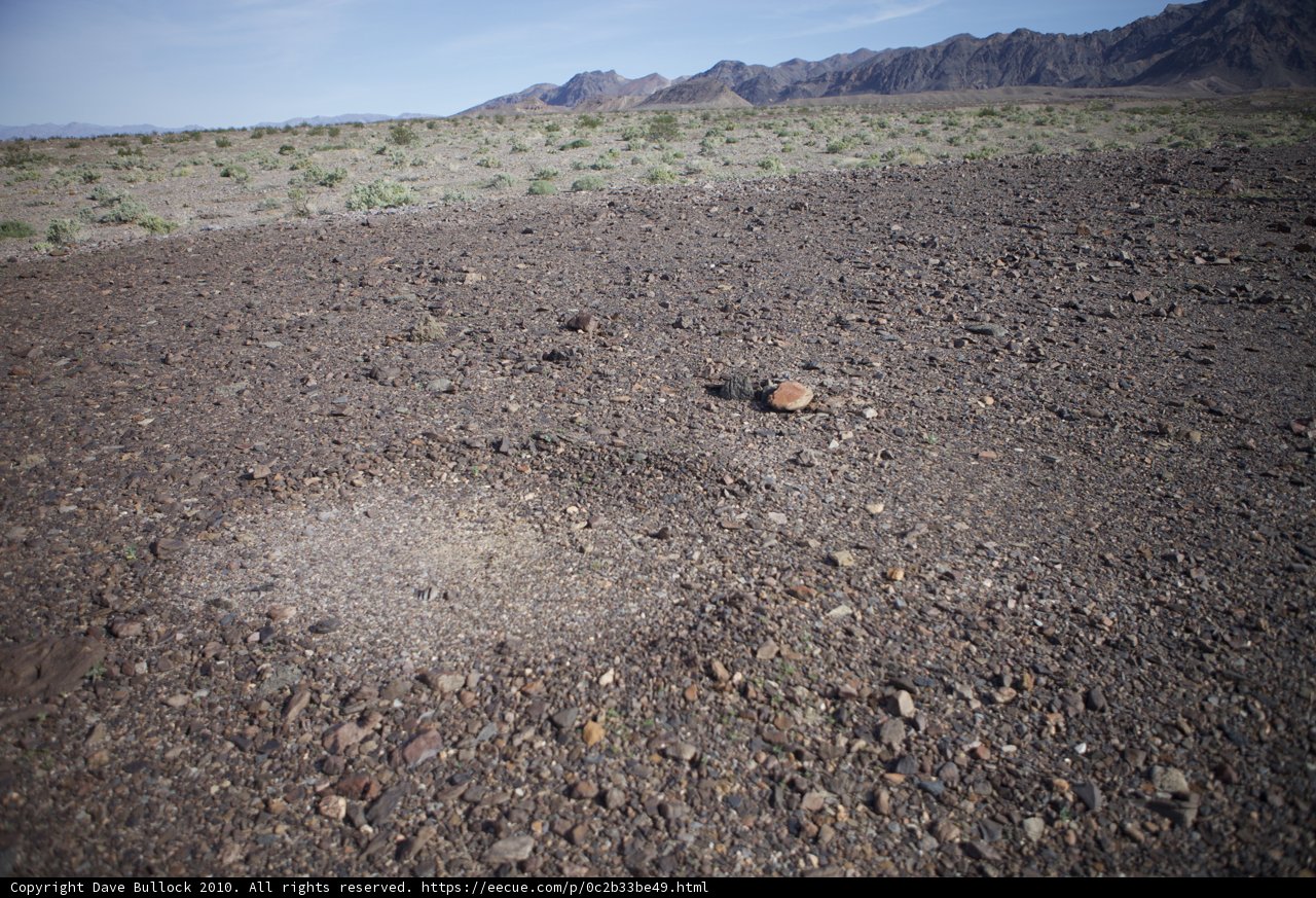 Lone Rock in a Barren Landscape