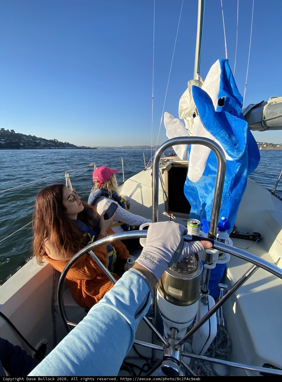 Sailing with Giants