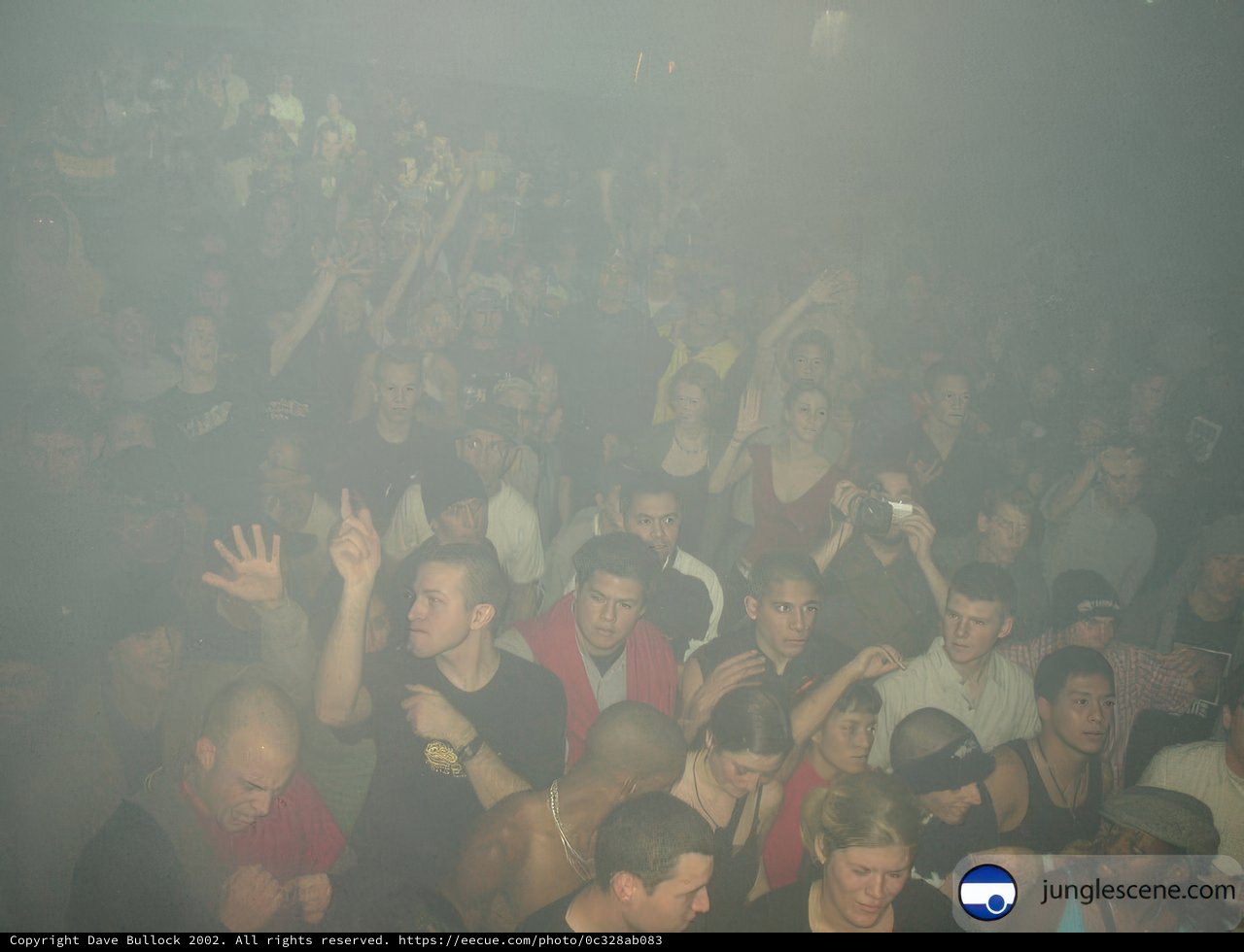 Night Club Crowd in the Smoke