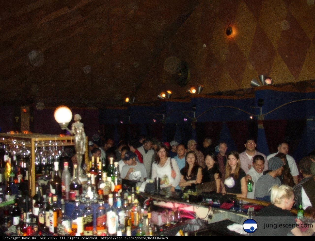 Nightlife at the Local Bar