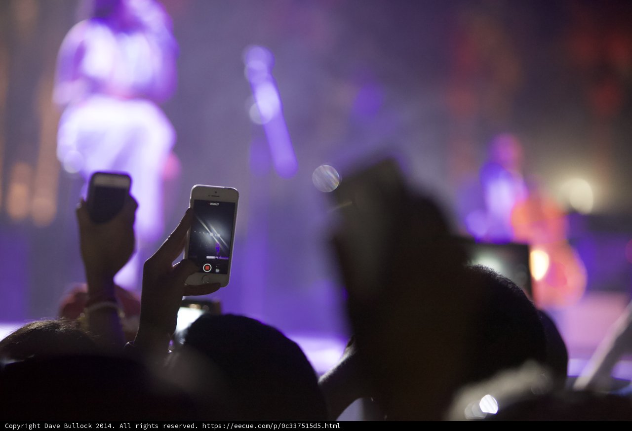 Snap, Snap, Snap at Coachella