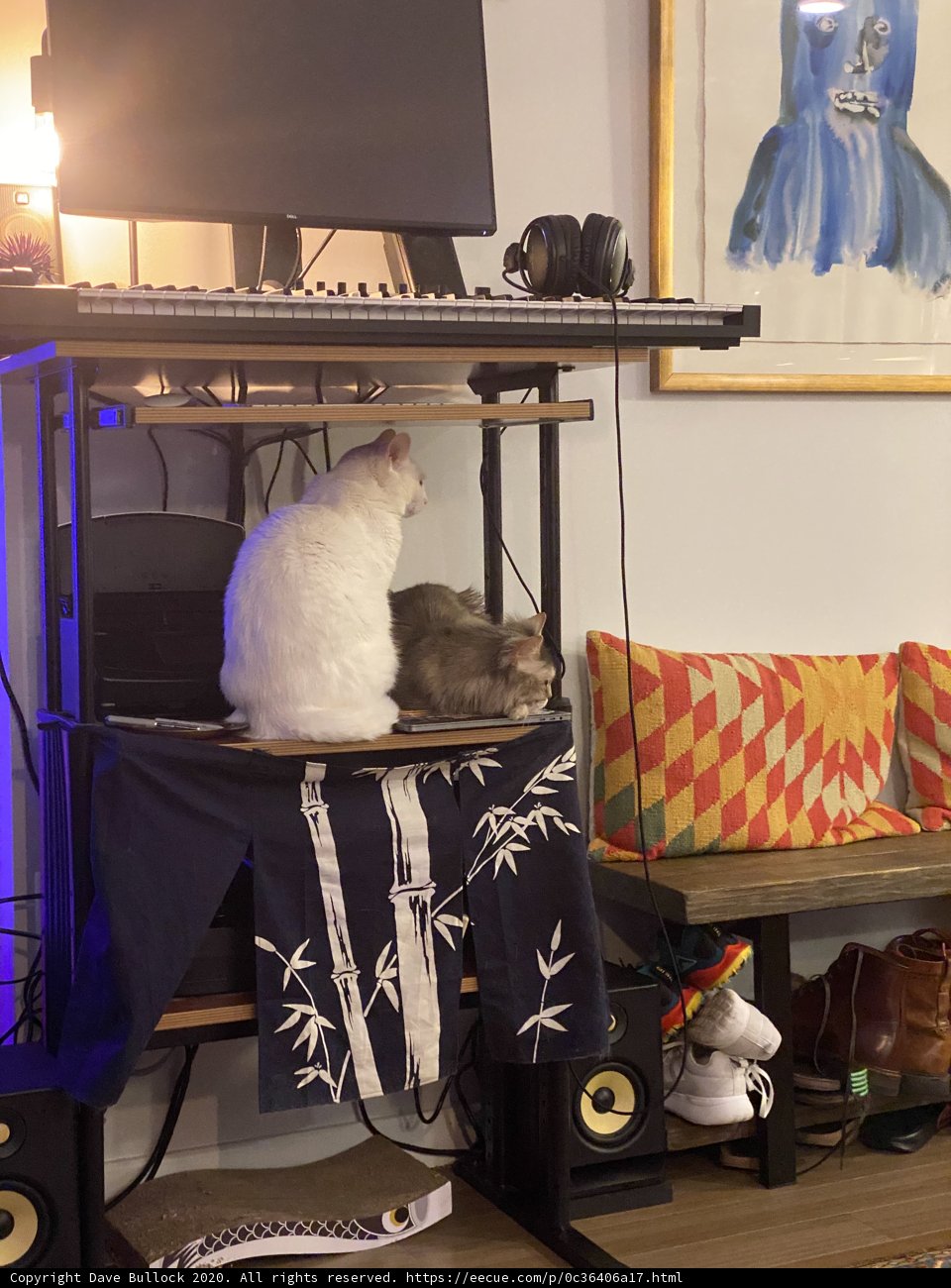 Office Cat