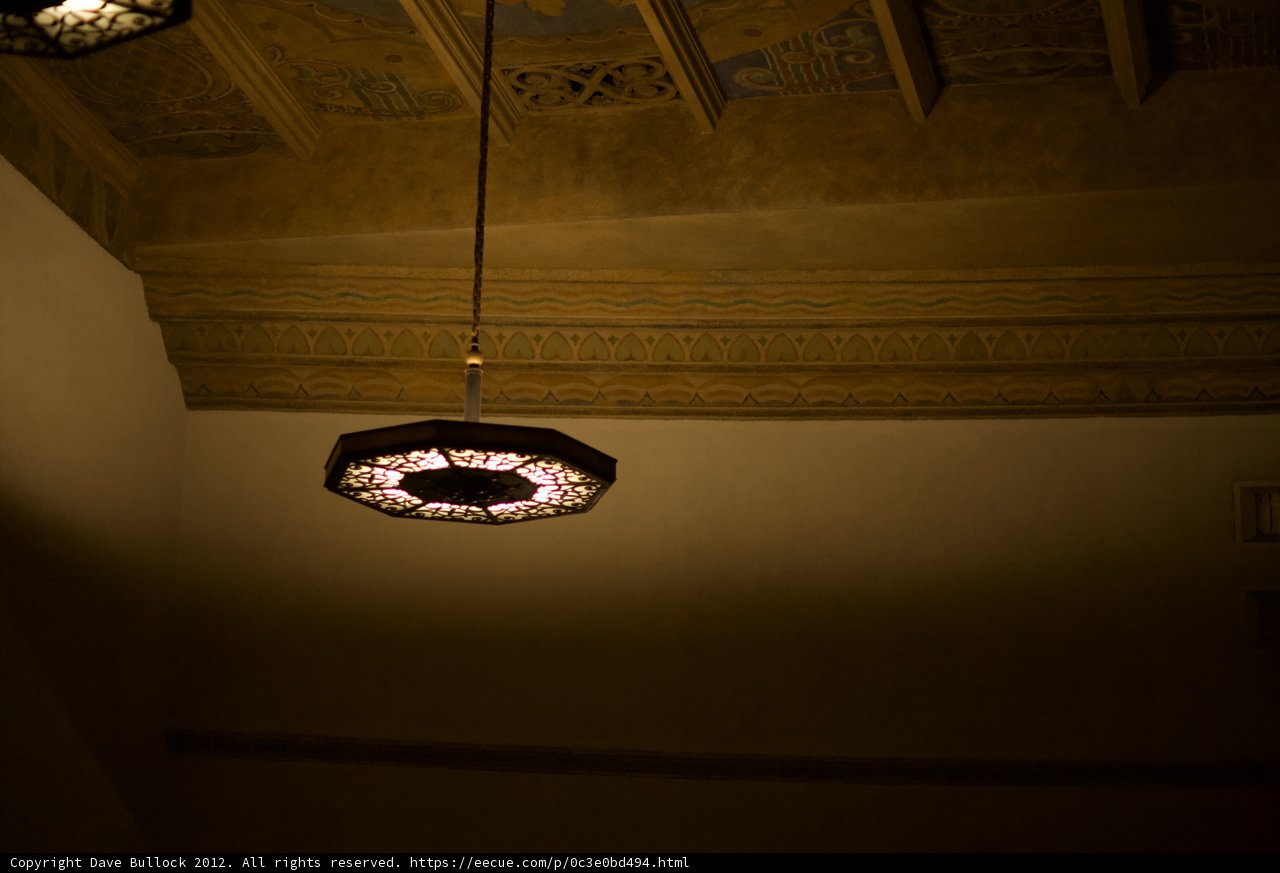 Illuminated elegance