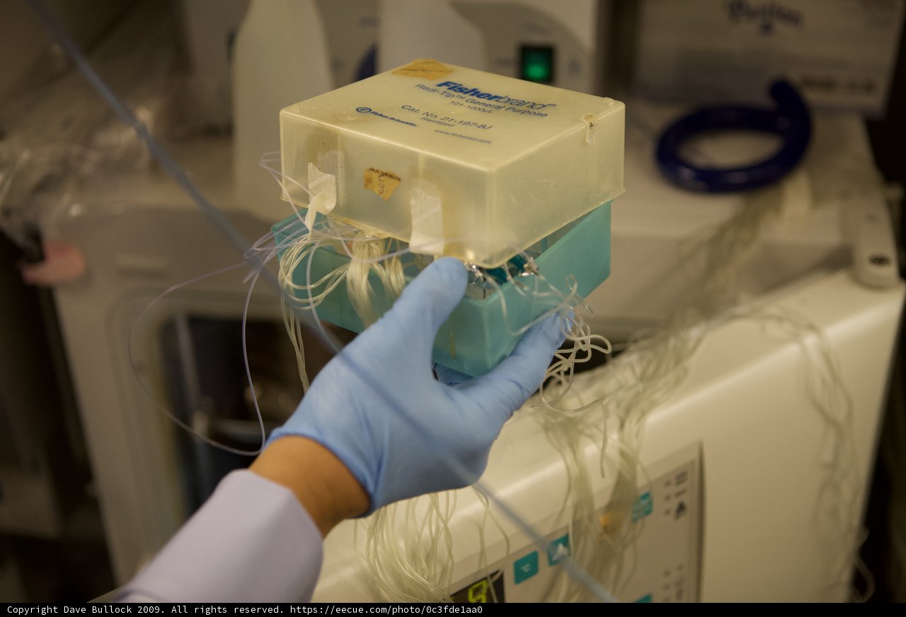 Gloved Hand Holding a Small Box in a Micro Bio Chip Lab