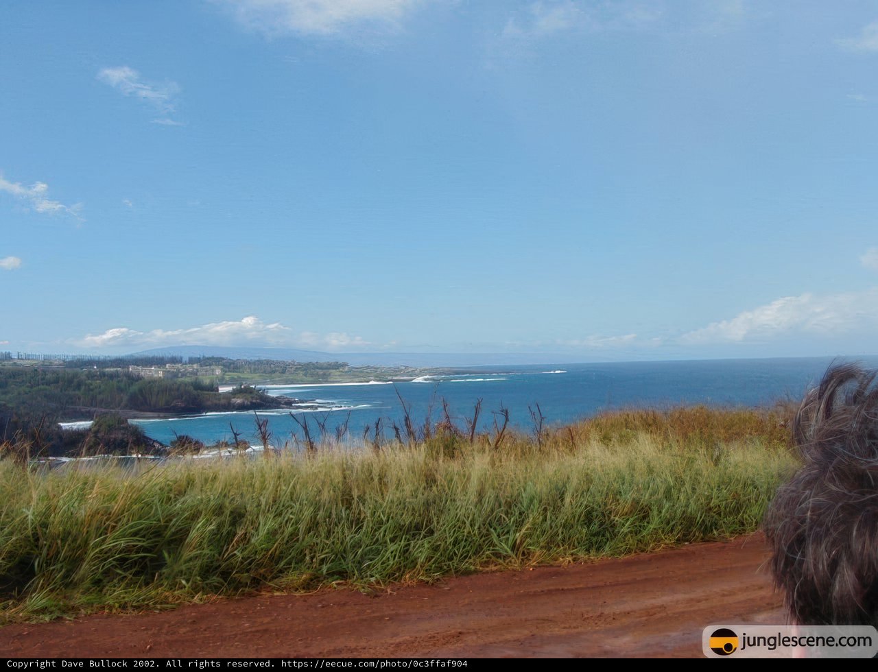 Serene View of the Hawaiian Ocean