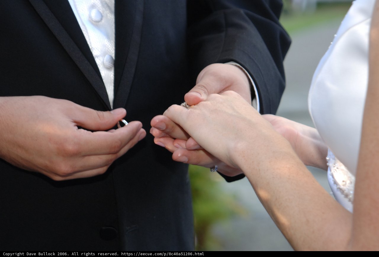 Wedding Bliss