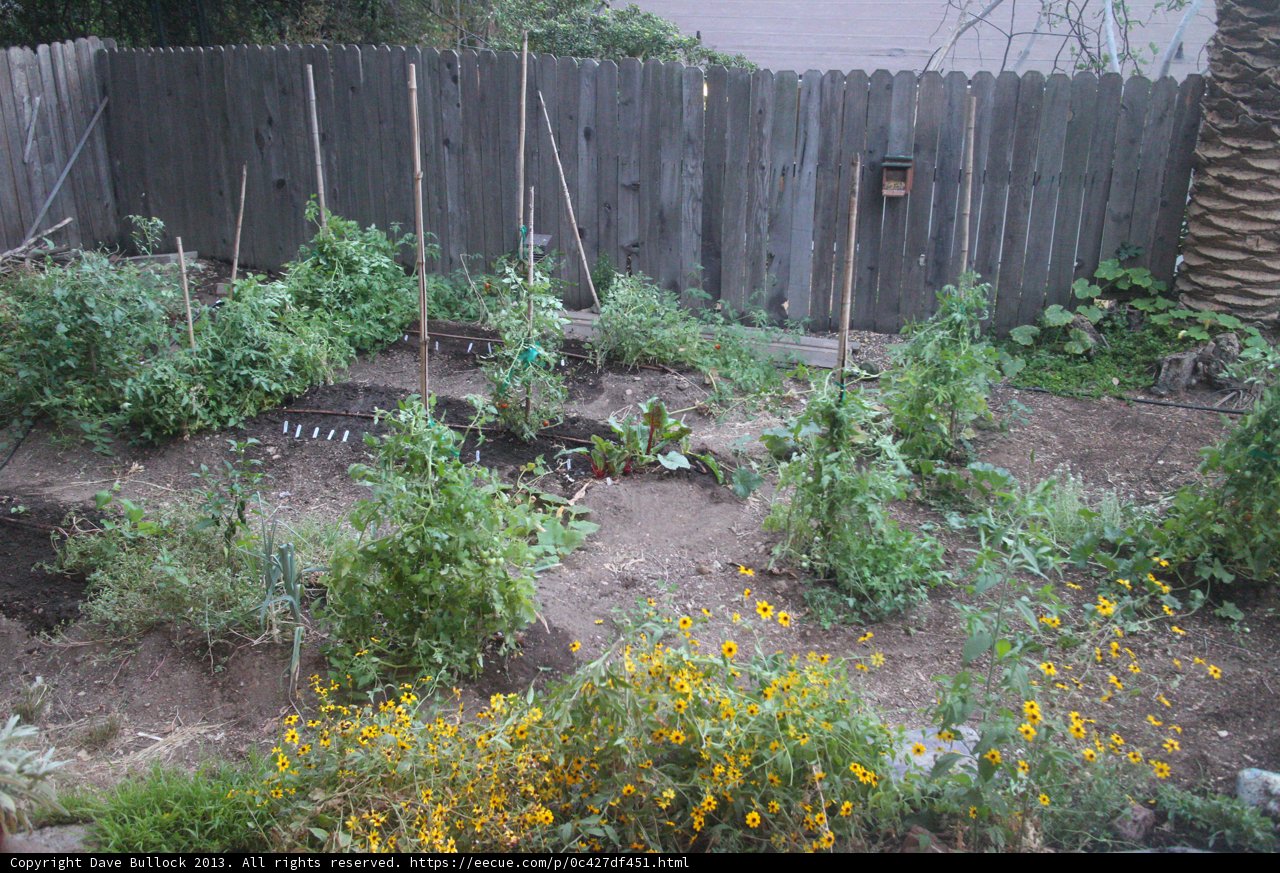 A Tranquil Backyard Garden