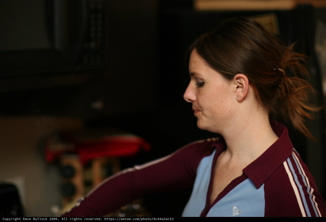 Woman in Profile at Indoor Gathering, 2006