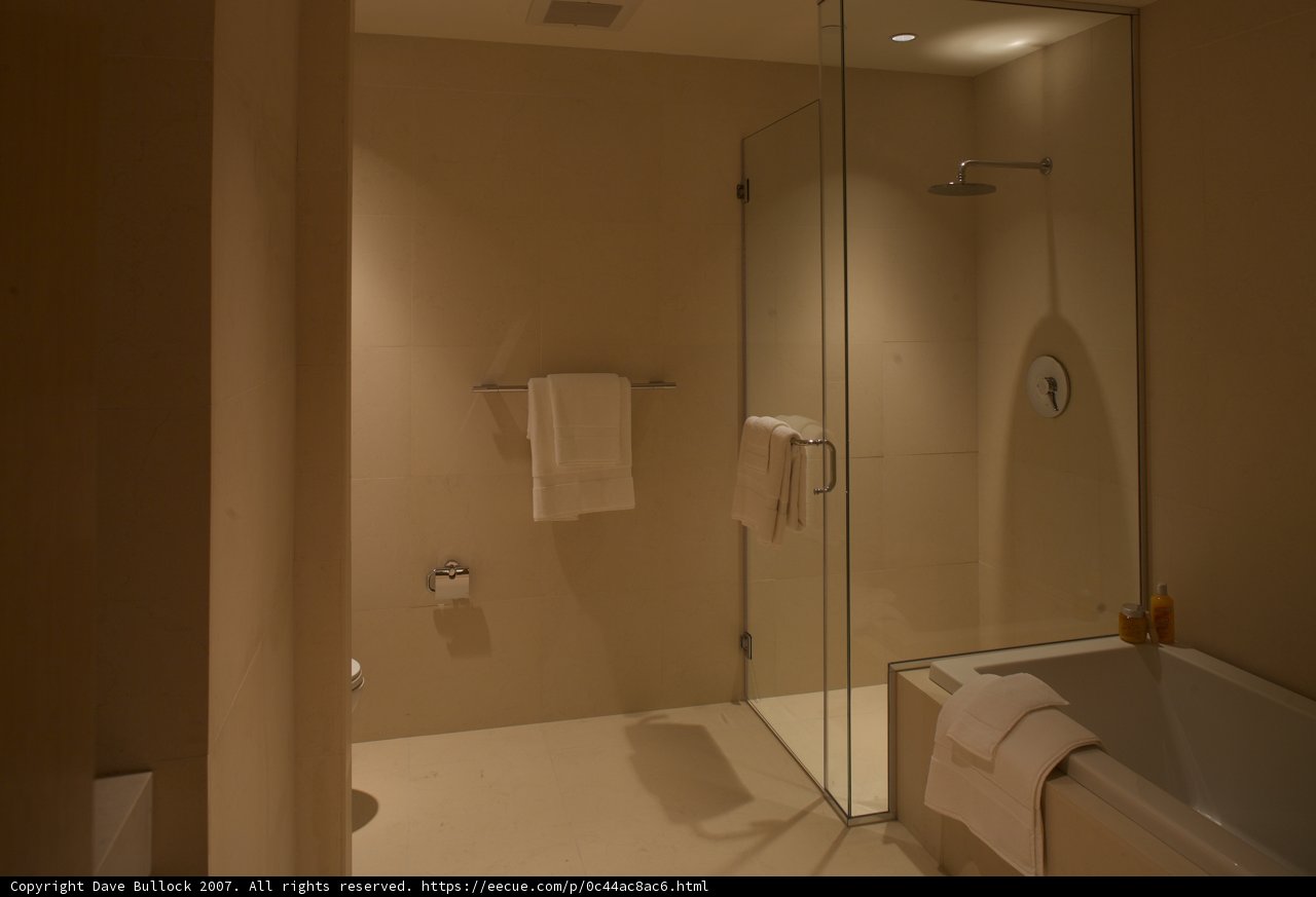The Glass Shower Door