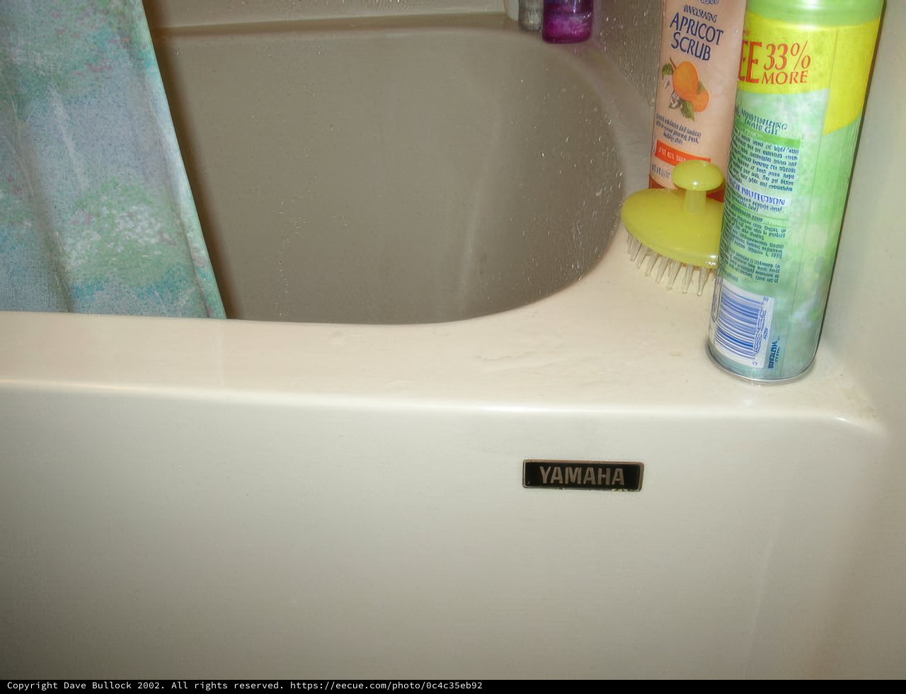 Shower Time Essentials