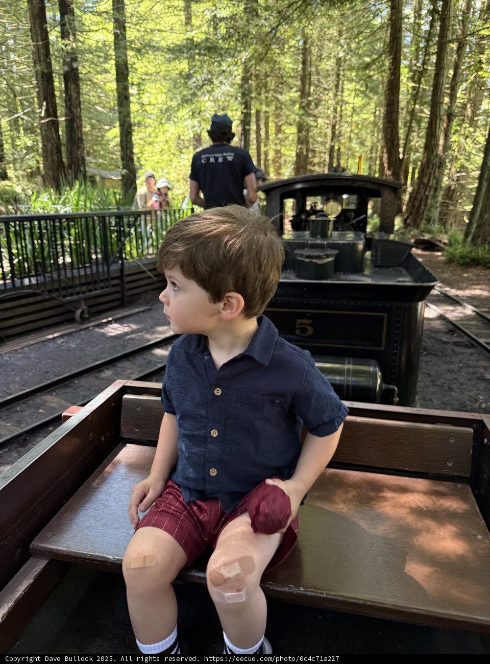 **Train Adventures in Tilden Park**
