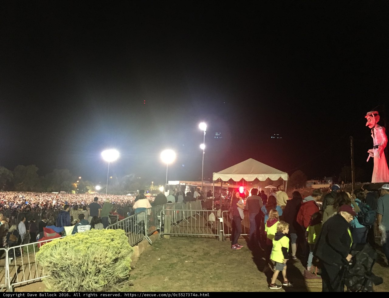 Electric Night Concert Crowd